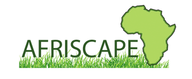 Afroscape Limited